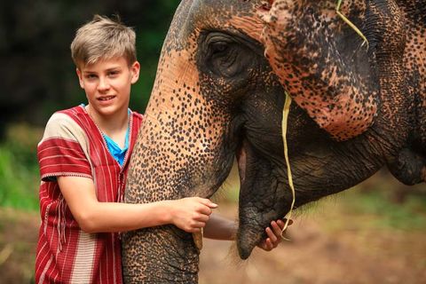 Mein Elefant